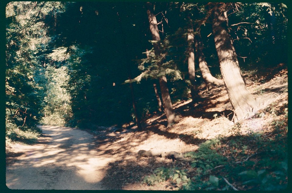 Road to Camp Gray 1970 -1